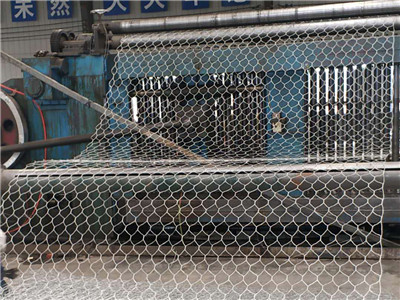 石笼网图片4