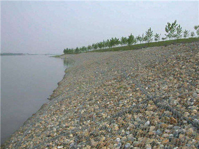 镀锌雷诺护垫案例图片3 镀锌雷诺护垫案例图片3